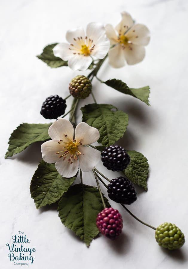 Nature's Palette: Organic Berry Harvest
